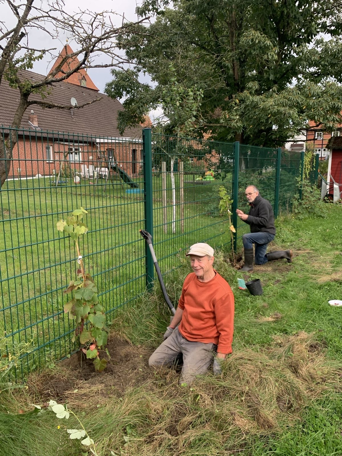 Weinstöcke am Hachehuus